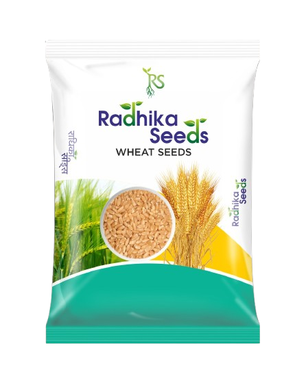 Wheat - गेहूं